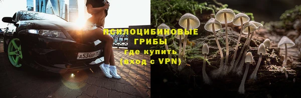 стаф Корсаков