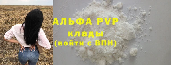 стаф Корсаков