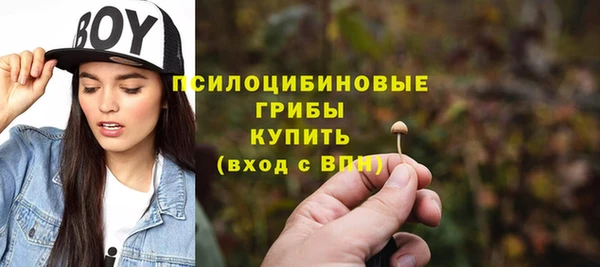 кристаллы Коряжма