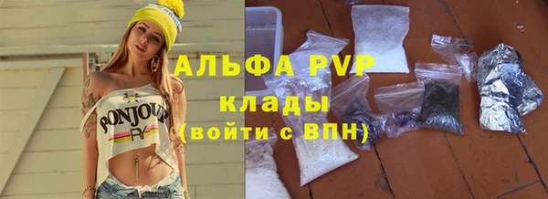 стаф Корсаков