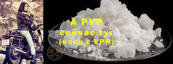 ПСИЛОЦИБИНОВЫЕ ГРИБЫ Костерёво