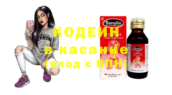 стаф Корсаков
