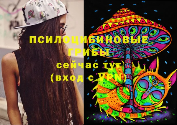 стаф Корсаков