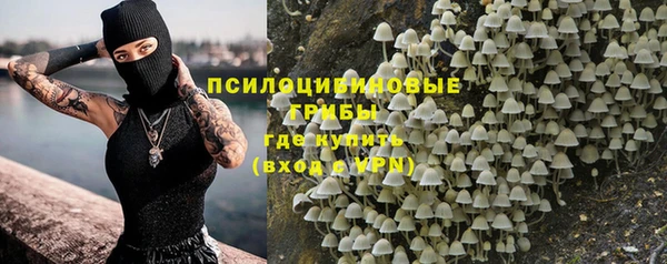 стаф Корсаков