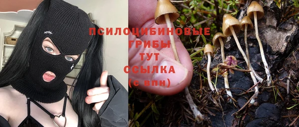 кристаллы Коряжма
