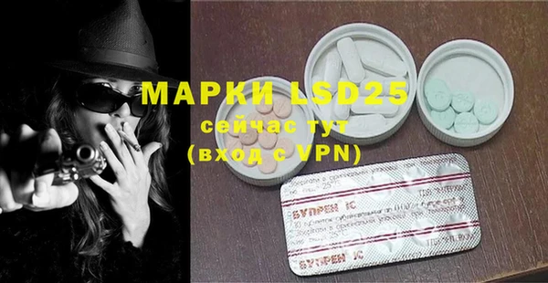 ПСИЛОЦИБИНОВЫЕ ГРИБЫ Костерёво