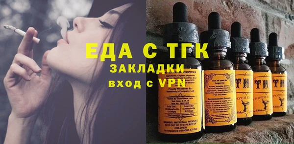 стаф Корсаков