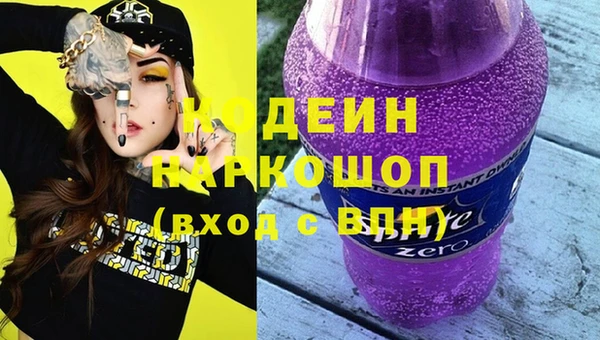 стаф Корсаков