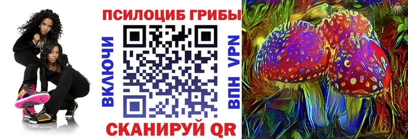 Псилоцибиновые грибы ЛСД  Светогорск 